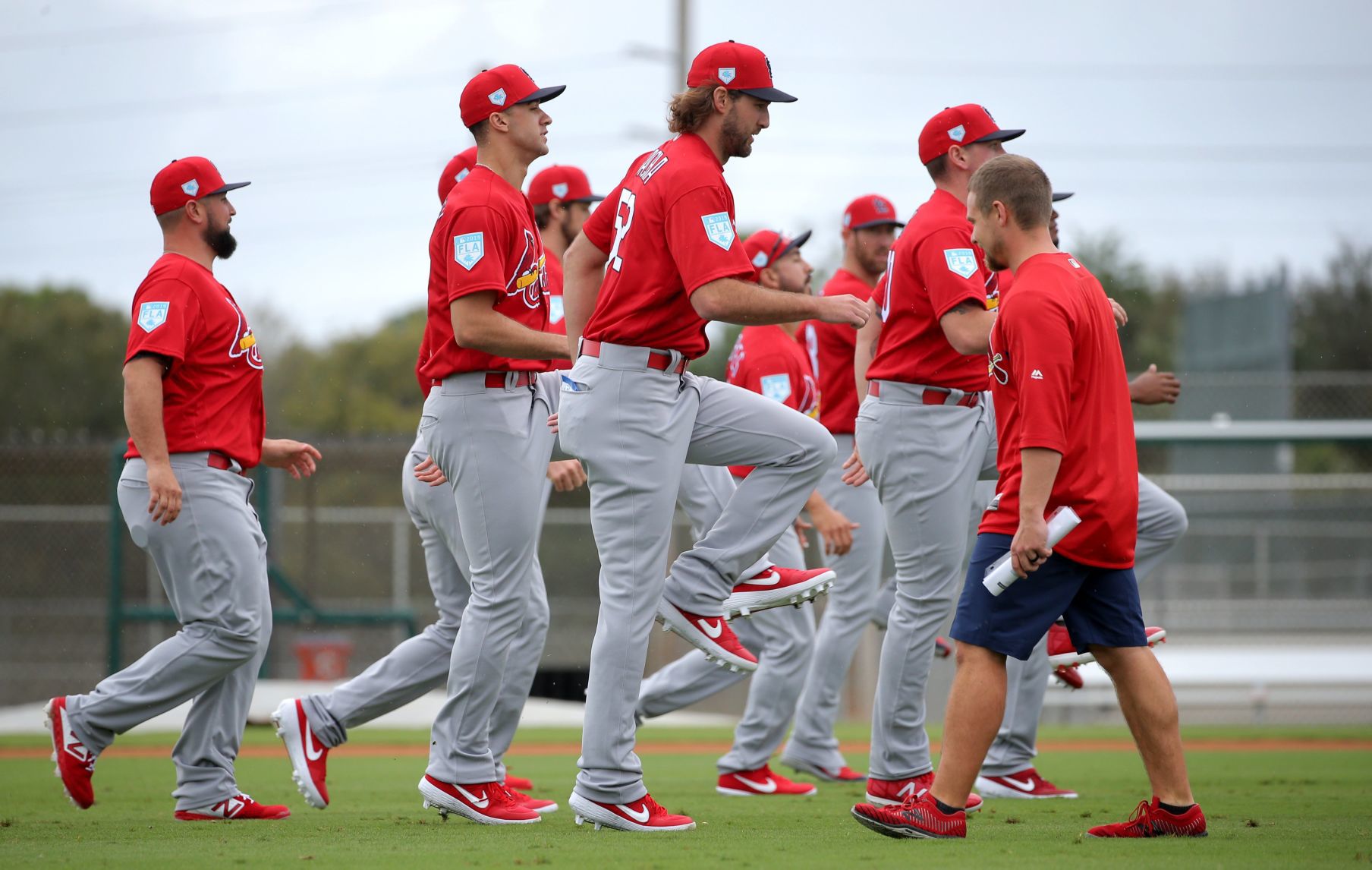 Cardinals spring training
